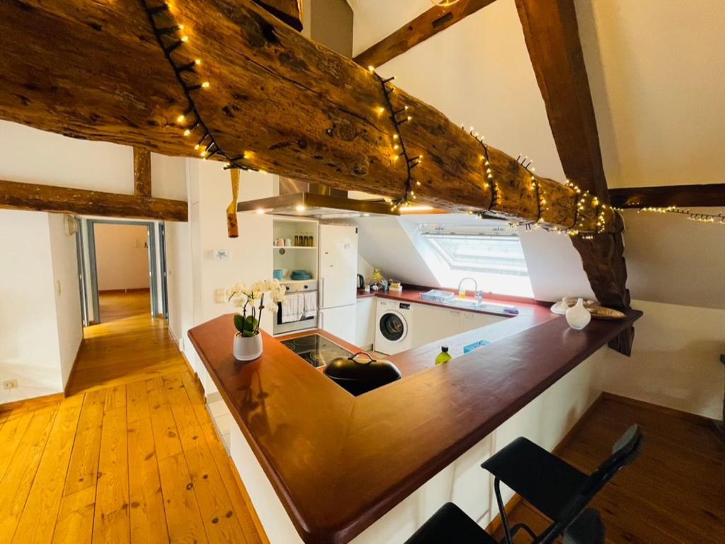 Apartamento Down Town Spacious Loft With Private Parking *